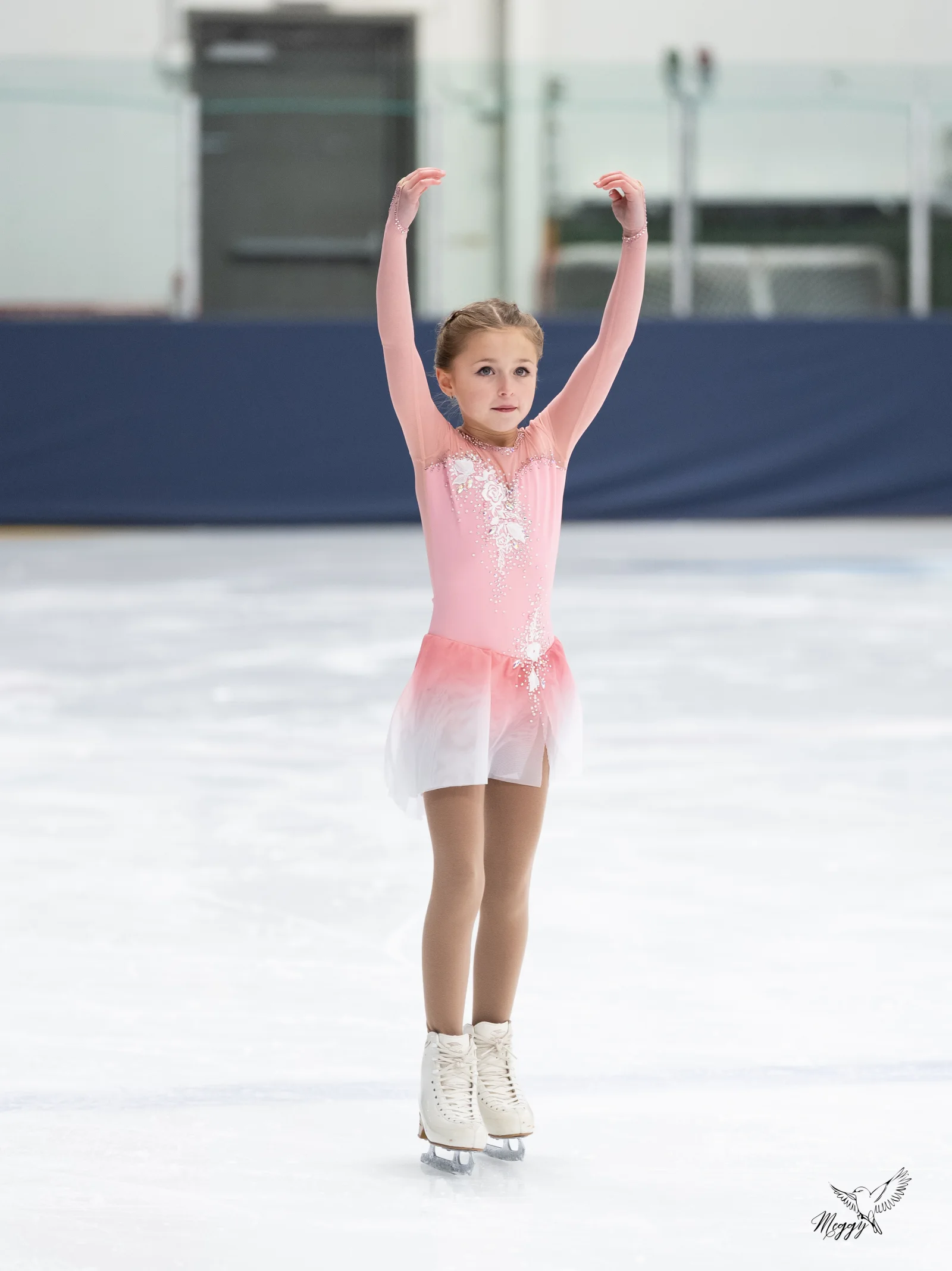 Patinage artistique