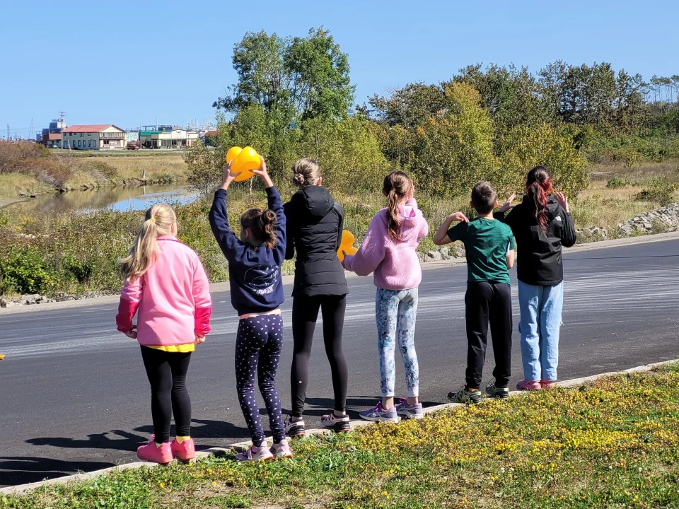 Course aux canards
